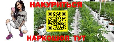 apvp Усть-Джегута