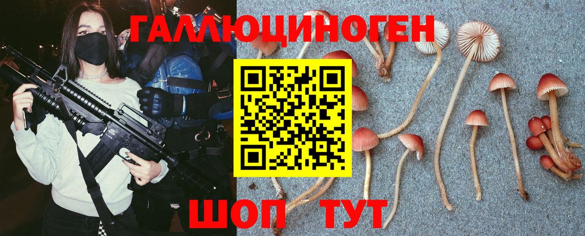 Галлюциногенные грибы Psilocybine cubensis  Галлюциногенные грибы Magic Shrooms  Вход с VPN  Новоуральск 