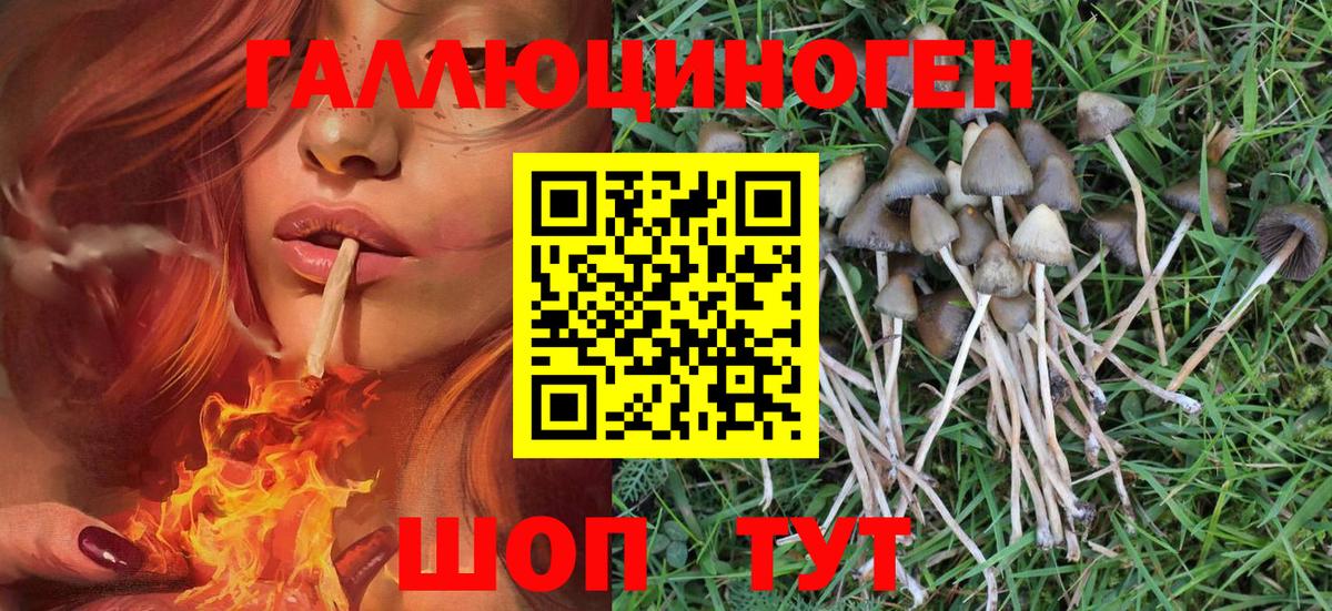 Марихуана  Новоуральск  Вход с VPN  NBOMe  ГАШИШ  Меф МЯУ МЯУ кристаллы  Метадон 